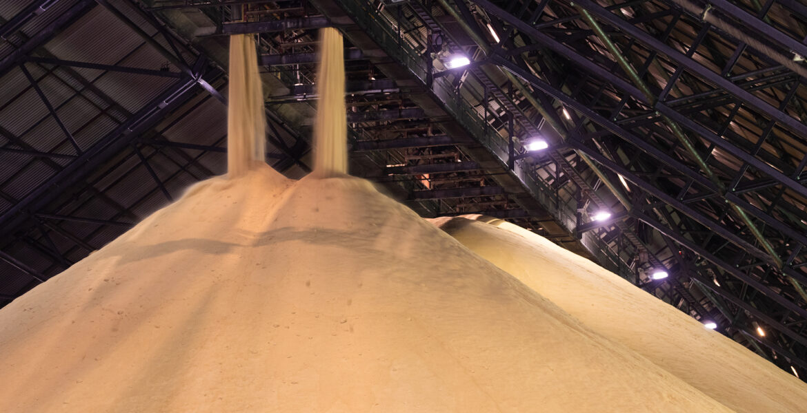 POM_Sugar_042_230814_edited