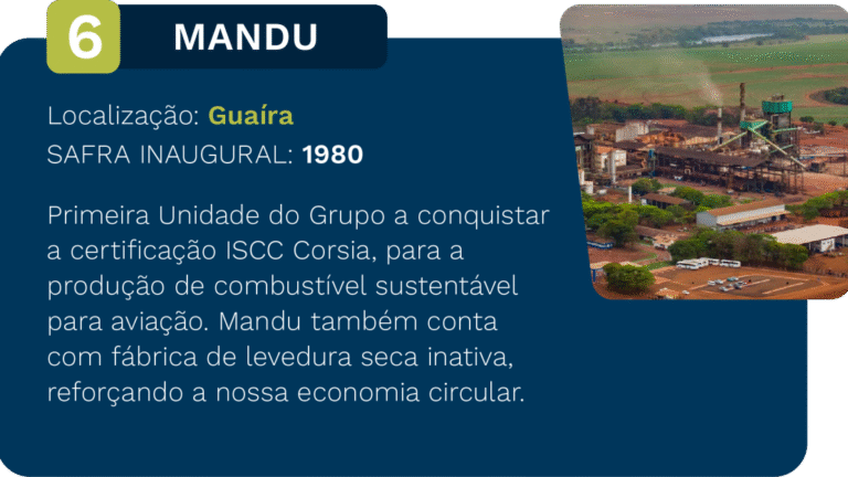 mandu-1110x624-c-default