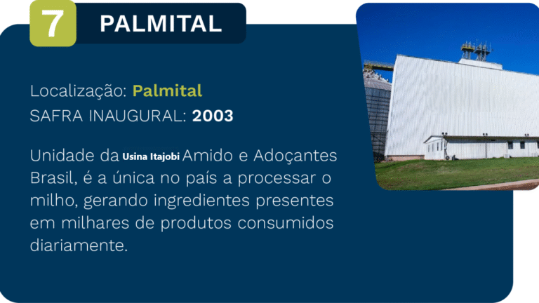 palmital-1110x624-c-default