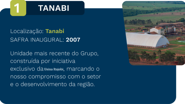 tanabi-1110x624-c-default