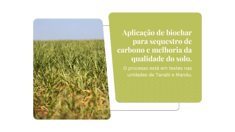 tereos-relatorio-de-sustentabilidade-2025-onepage-v3-21-1110x624-c-default