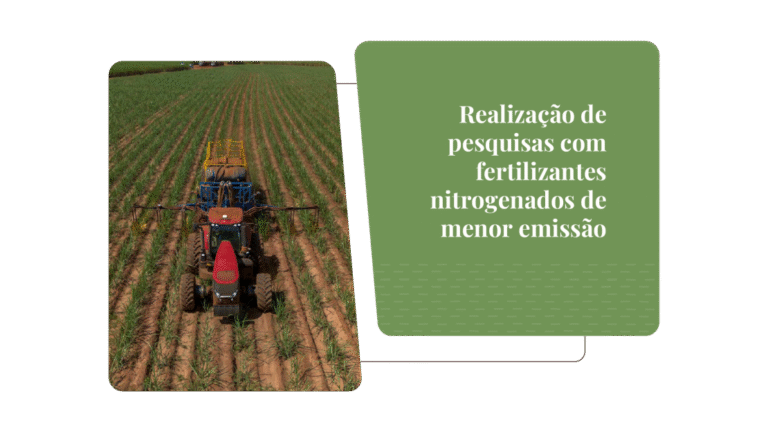 tereos-relatorio-de-sustentabilidade-2025-onepage-v3-23-1110x624-c-default