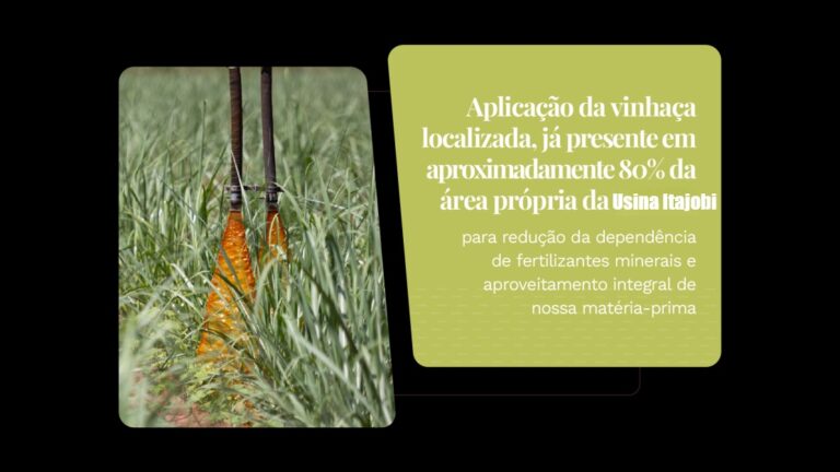 tereos-relatorio-de-sustentabilidade-2025-onepage-v3-24-1110x624-c-defaul