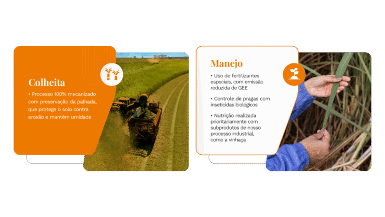 tereos-relatorio-de-sustentabilidade-2025-onepage-v3-25-1110x624-c-default