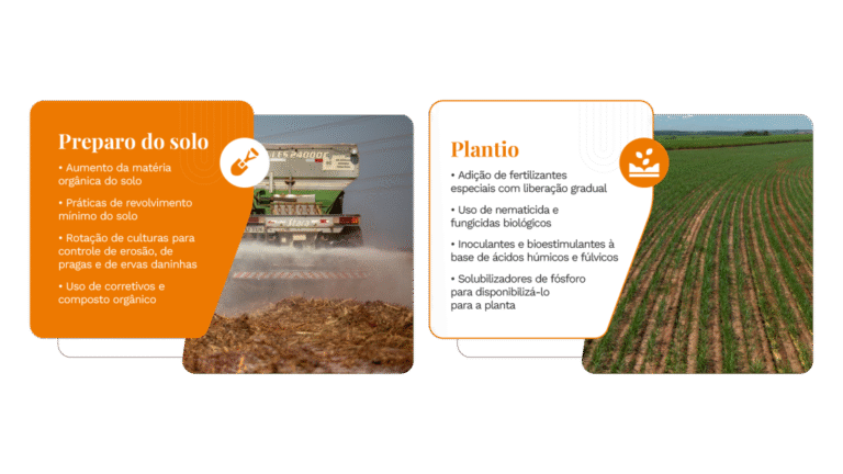 tereos-relatorio-de-sustentabilidade-2025-onepage-v3-26-1110x624-c-default