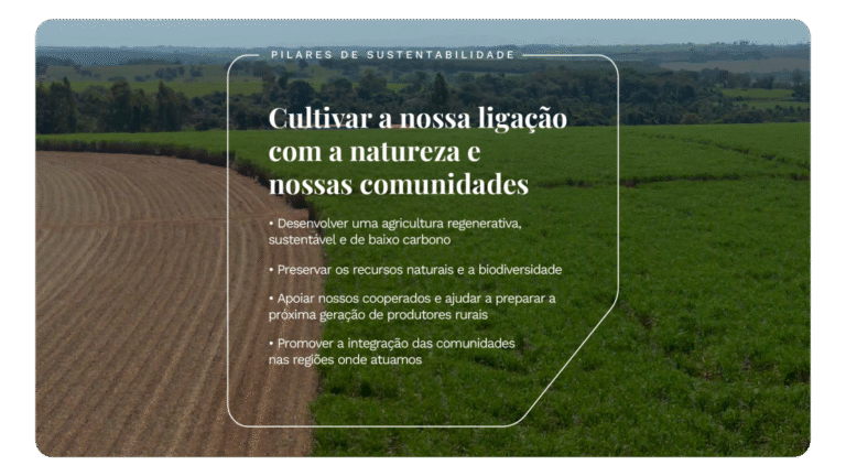 tereos-relatorio-de-sustentabilidade-2025-onepage-v3-30-1110x624-c-default