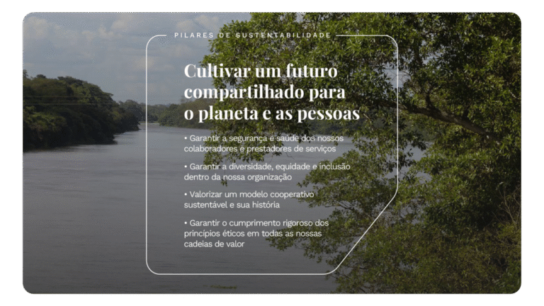 tereos-relatorio-de-sustentabilidade-2025-onepage-v3-31-1110x624-c-default