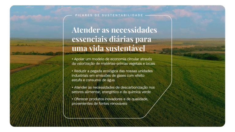 tereos-relatorio-de-sustentabilidade-2025-onepage-v3-32-1110x624-c-default